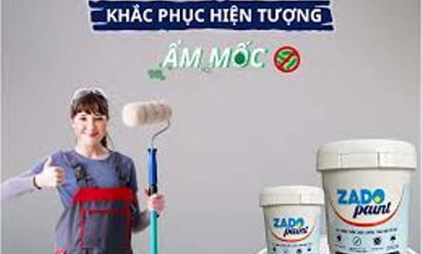 sơn chống thấm zado paint tốt không