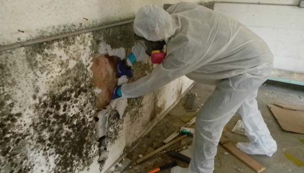 tìm hiểu chống thấm ngược là gì