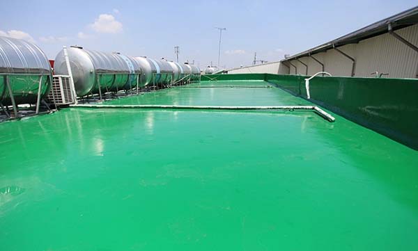 Chống Thấm Polyurethane Là Gì? Tìm Hiểu Ưu Điểm Nổi Bật
