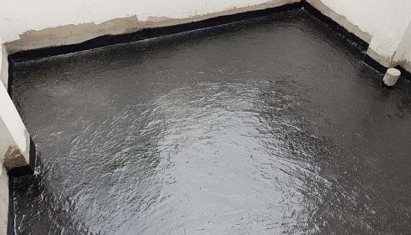 tìm hiểu chống thấm rồng đen có tốt không