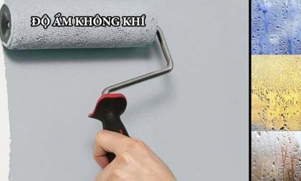 tìm hiểu sơn chống thấm bao lâu thì khô