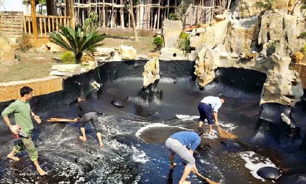 Phương pháp chống thấm bể cá hiệu quả nhất hiện nay