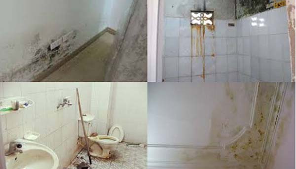 Kỹ thuật chống thấm chân tường nhà vệ sinh triệt để