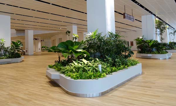 cách chống thấm bồn hoa