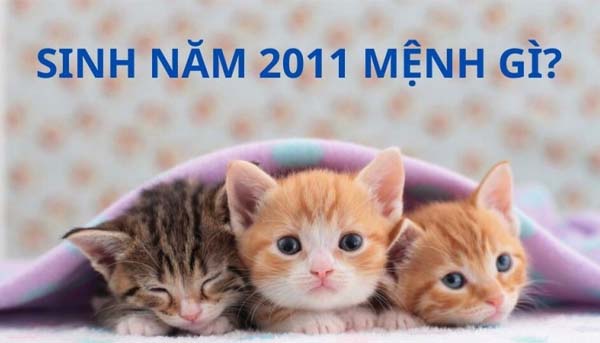 2k11 bao nhiêu tuổi, học lớp mấy, tuổi con gì và mệnh nào