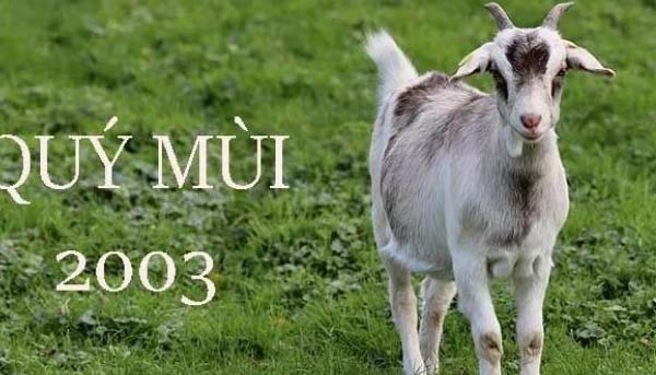 tìm hiểu 2k3 bao nhiêu tuổi