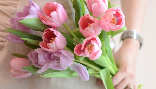 tìm hiểu ý nghĩa hoa tulip trong tình yêu