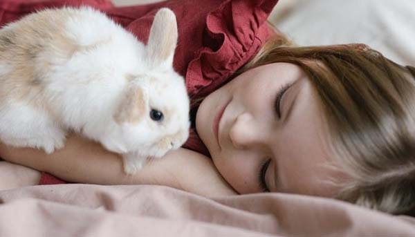 ý nghĩa của thỏ trong tình yêu