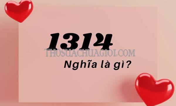 1314 là gì trong tình yêu