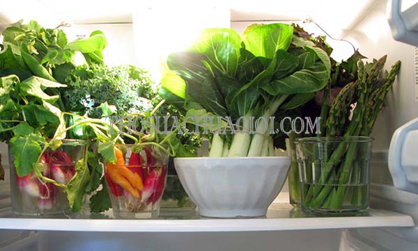 cách bảo quản rau củ trong tủ lạnh tươi lâu hiệu quả