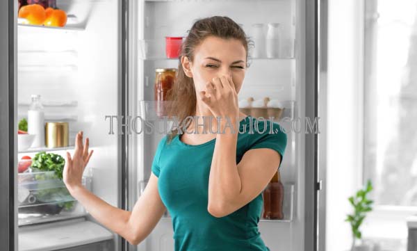 cách khử mùi hôi trong tủ lạnh hiệu quả