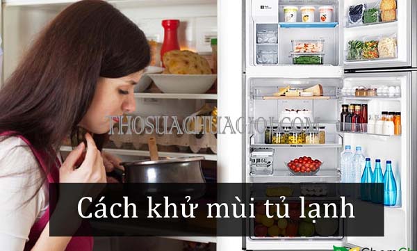 cách khử mùi hôi trong tủ lạnh