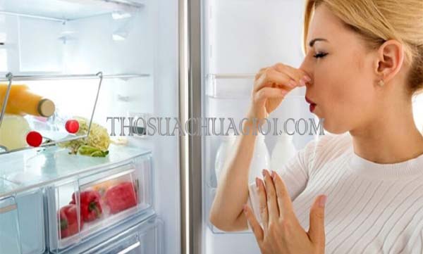 có cần rút điện tủ lạnh khi không sử dụng điện dài ngày tại sao