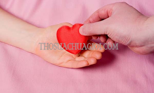 phân tích xia là gì trong tình yêu