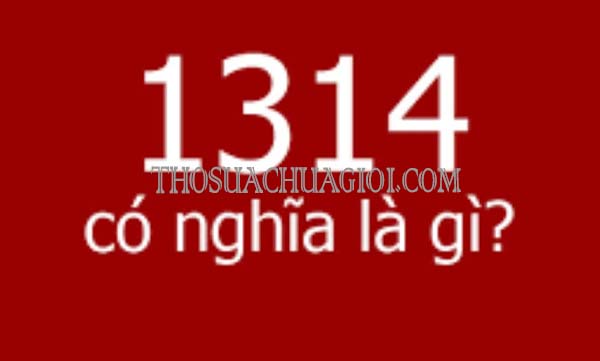 1314 trong tình yêu mang ý nghĩa gì