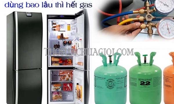 tìm hiểu có cần thay gas cho tủ lạnh không