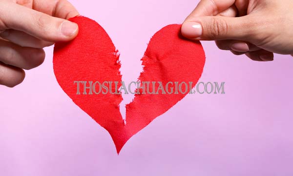 xia là gì trong tình yêu