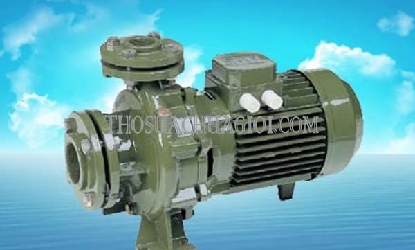 Bao Lâu Nên Bảo Dưỡng Máy Bơm? Hướng Dẫn Chu Kỳ Bảo Trì