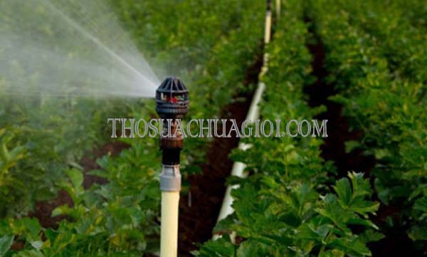 dùng máy bơm có dùng được cho hệ thống tưới tiêu tựu động