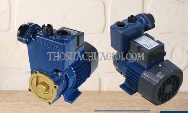 máy bơm có cần thay dầu không