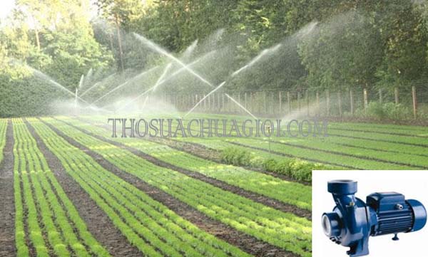 máy bơm có dùng được cho hệ thống tưới tiêu tựu động giải đáp