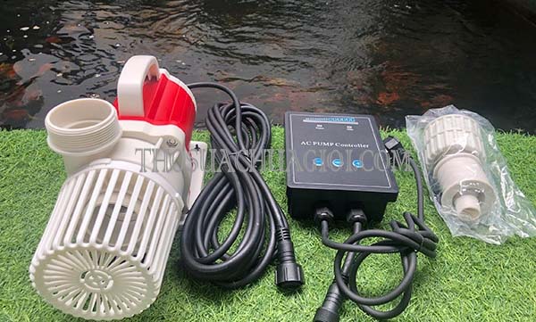 máy bơm hồ các koi có đặc điểm gì