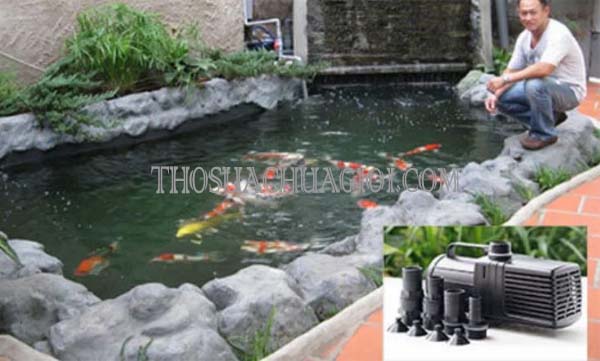 Máy Bơm Hồ Cá, Hồ Koi: Đặc Điểm Quan Trọng Cần Biết