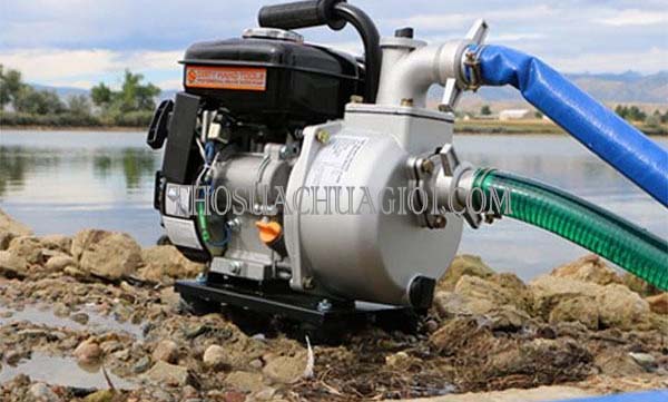 Máy Bơm Không Chạy Nhưng Có Điện? Nguyên Nhân Và Xử Lý